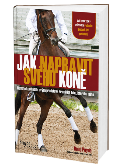 Jak napravit svého koně